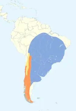 Distribución geográfica del fiofío chileno.