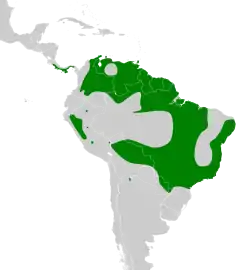 Distribución geográfica del fiofío belicoso.