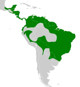 Distribución geográfica del fiofío ventriamarillo.