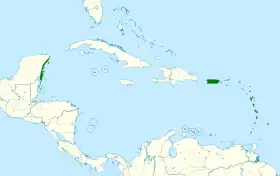 Distribución geográfica del fiofío caribeño.