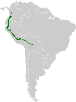 Distribución geográfica del fiofío de Pallatanga.