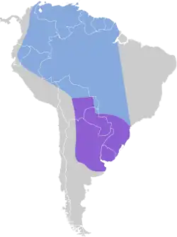 Distribución geográfica del fiofío piquicorto.