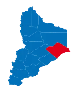 Elecciones provinciales del Neuquén de 1999