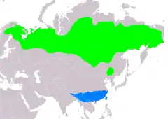 Distribución de Emberiza pusilla