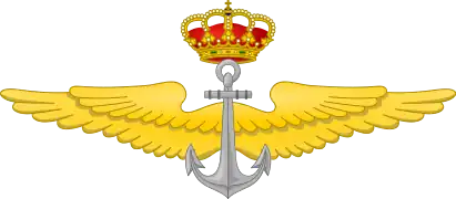 Arma Aérea de la Armada