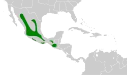 Distribución geográfica del mosquero de los pinos.