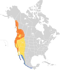 Distribución geográfica del mosquero del Pacífico.