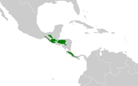 Distribución geográfica del mosquero amarillento.