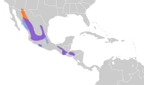 Distribución geográfica del mosquero pechicanelo.