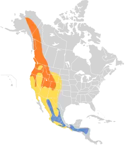 Distribución geográfica del mosquero de Hammond.