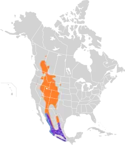 Distribución geográfica del mosquero cordillerano.