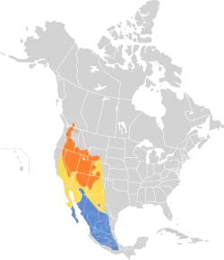 Distribución geográfica del mosquero gris.