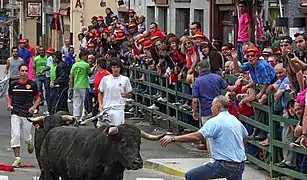 Encierros de Vitigudino