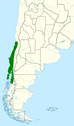 Distribución del choroy (en verde).