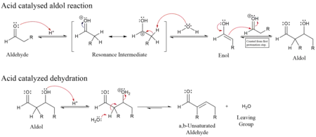 Enol Mechanism