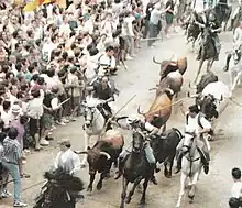 Entrada de toros y caballos