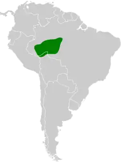 Distribución geográfica del hormiguerito del Madeira.