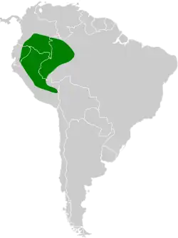 Distribución geográfica del hormiguerito colirrufo.