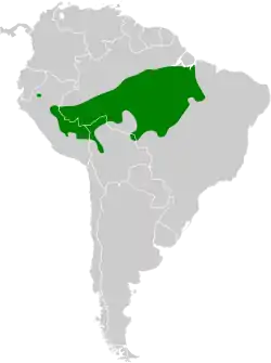 Distribución geográfica del hormiguerito ojiblanco.