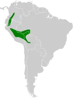 Distribución geográfica del hormiguerito ornado (excluido el hormiguerito ornado oriental (E. hoffmannsi).