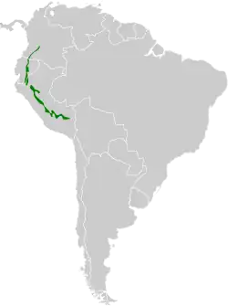 Distribución geográfica del hormiguerito submontano.