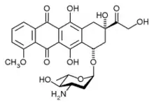 Epirrubicina