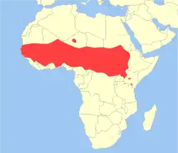 Distribución del mono patas