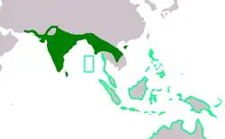 Distribución de E. recurvirostris en verde oscuro E. magnirostris en verde claro