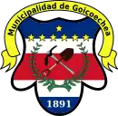 Escudo de Cantón de Goicoechea