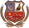 Escudo de Traiguén