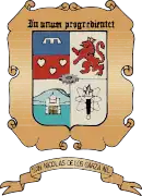 Bandera de San Nicolás de los Garza