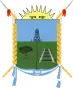 Escudo de Toay