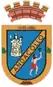 Escudo de Andacollo