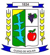 Escudo de Molina