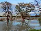 Lago en Izcalli.