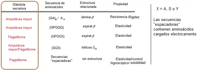 Relación entre secuencia de aminoácidos y estructuras secundarias