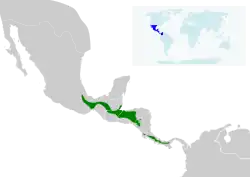 Distribución de Eupherusa eximia