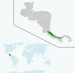 Distribución de Eupherusa nigriventris