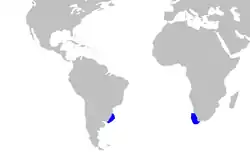 Rango de distribución de Euprotomicroides zantedeschia.