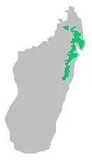 Distribución del vanga de casco en la isla de Madagascar.