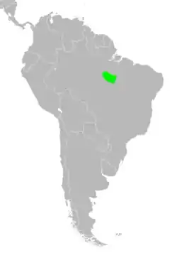 Distribution of Euryoryzomys emmonsae (in green).Musser et al., 1998, fig. 79