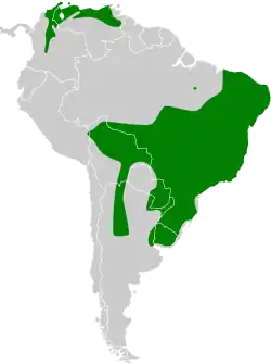 Distribución geográfica del tiranuelo copetón.