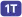 1T