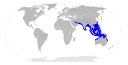 Distribución de la cornuda planeadora