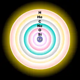 Un diagrama de una esfera concéntrica mostrando, desde el núcleo hasta la corteza exterior, estratos de hierro, silicio, oxígeno, neón, carbón, helio e hidrógeno.