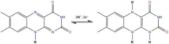 Equilibrio químico de flavina