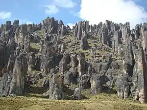 Bosque de piedras en el Santuario Nacional de Huayllay