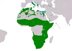 Distribución de Falco biarmicus