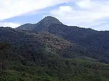 Cordillera del wissus, exuberante bosque y místico lugar, patrimonio distrital en proceso de protección.