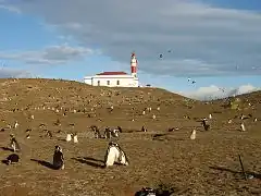 Faro Magdalena.